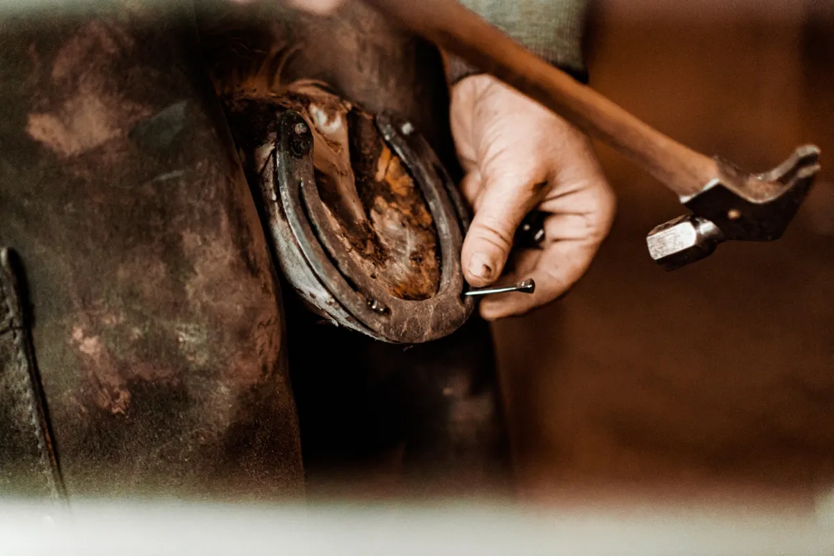Eli Farrier in Action